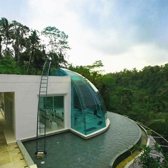 chapel vimala