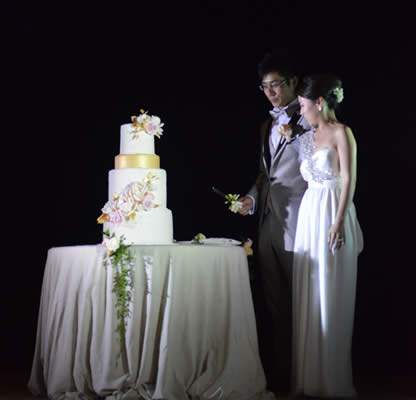 cake wedding
