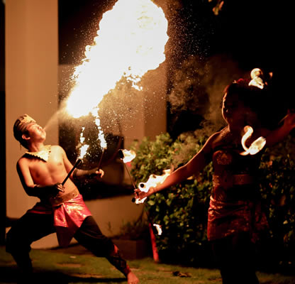 entertainment wedding